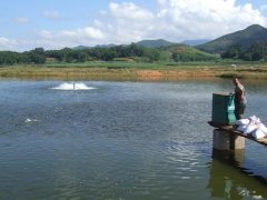 水產養(yǎng)殖檢測儀，為水產提供優(yōu)良的生長環(huán)境
